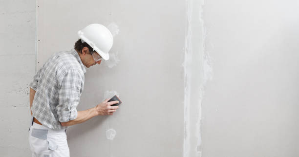 Best Drywall Crack Repair  in Lake Helen, FL