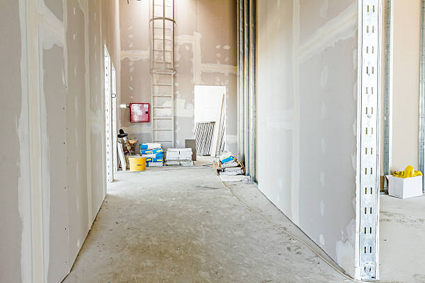 Best Fire-Damaged Drywall Repair  in Lake Helen, FL