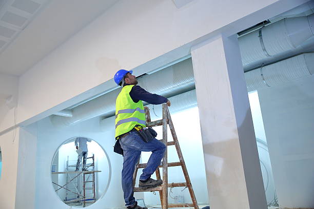 Best Ceiling Drywall Installation  in Lake Helen, FL